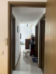 Lakeville (D22), Condominium #546645641